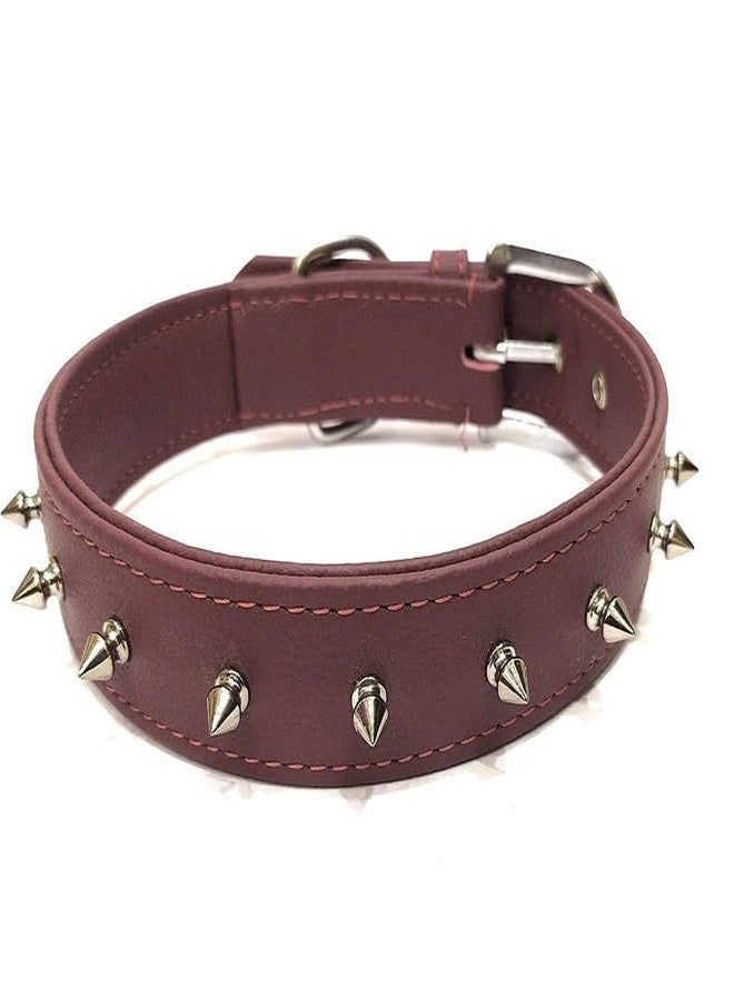 KittuPet Spiked Studded Leather Dog Collar Mushrooms Rivets Cat Collar for Small Medium Dog Cat Puppy Kitty (M, Brown) - Image 1